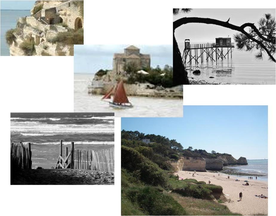 Chambre D'Hotes Le Berceau Meschers-sur-Gironde Esterno foto